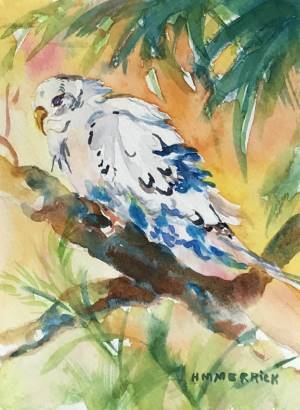 White Parakeet 
