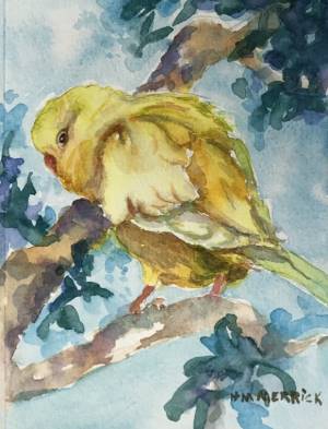 Yellow Parakeet 