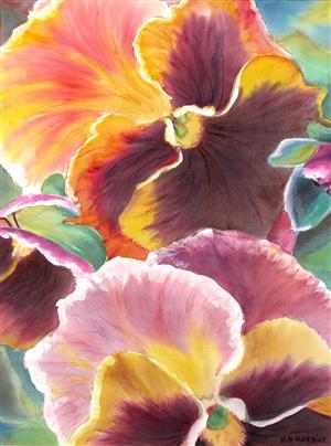 Pink Pansies