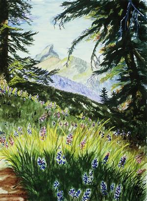 Mountain Lupine