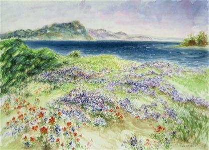Bluebonnets at Lake Whitney, Texas