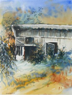 Old Shed