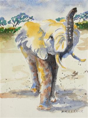 Elephant