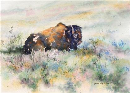 Buffalo in Custer