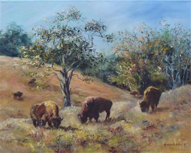 Buffalo Grazing on Woodland Farm