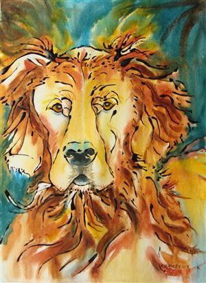 Quincy - Red Irish Setter