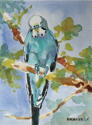 Blue Parakeet 