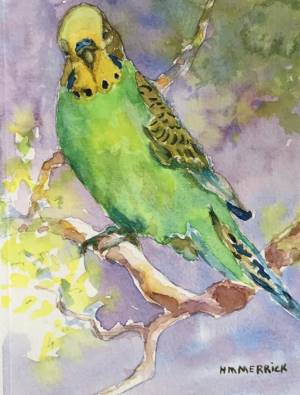 Green Parakeet