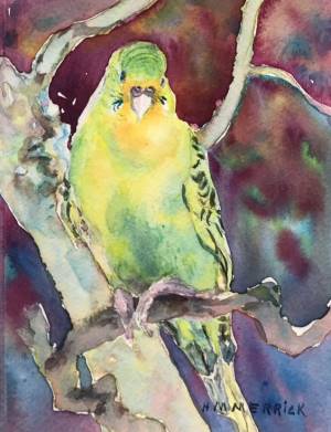 Parakeet in Burgundy