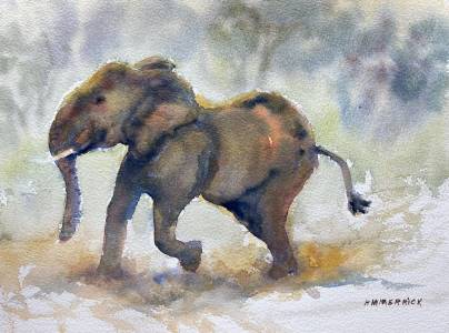 Young Elephant